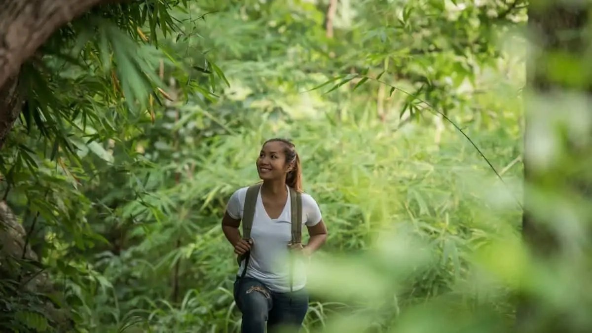 5 Training Programs to Get Certified in Forest Therapy or Shinrin Yoku