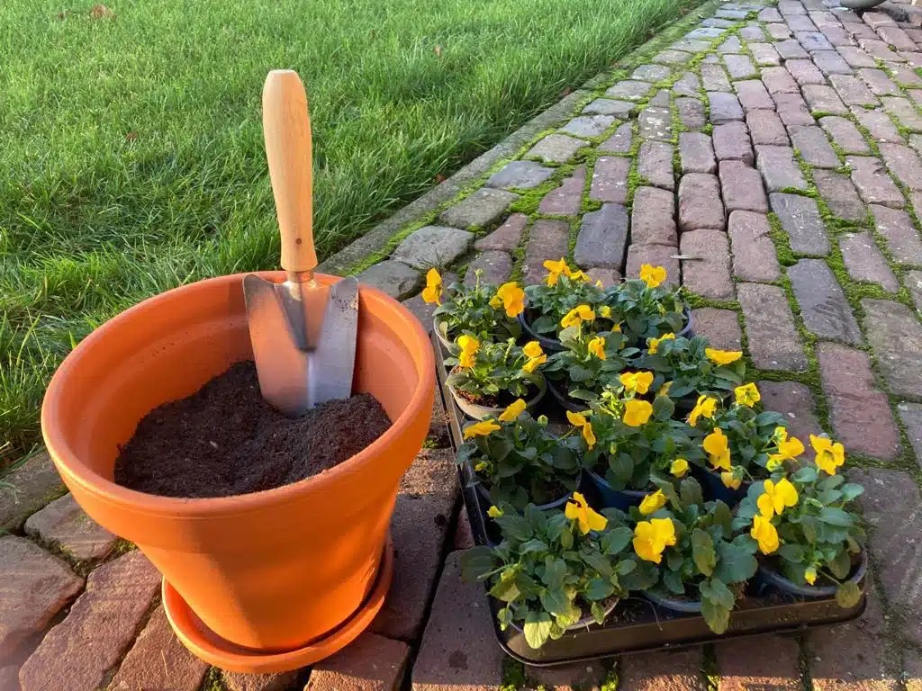 DE meststof voor uw bloemen, planten en (moes)tuin Ecotop Solide