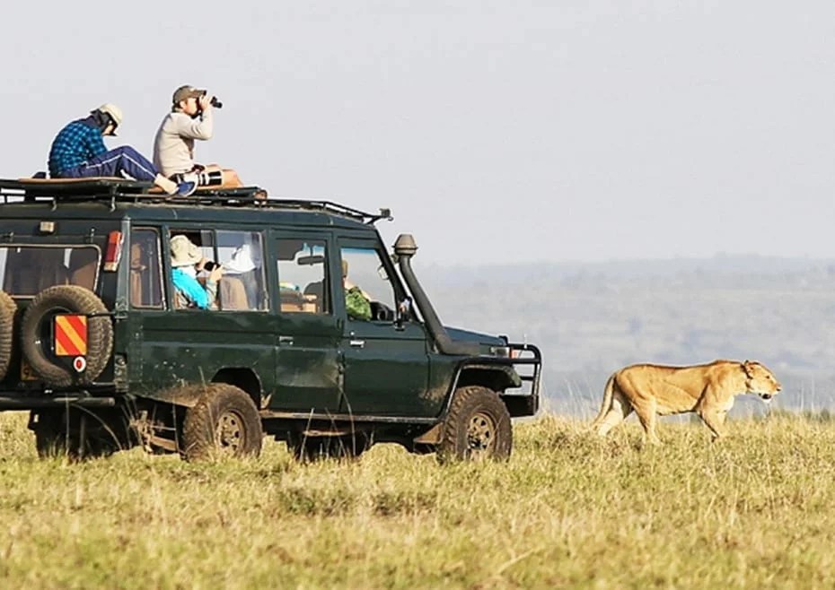 Kenya Safari Guide EcoTraining