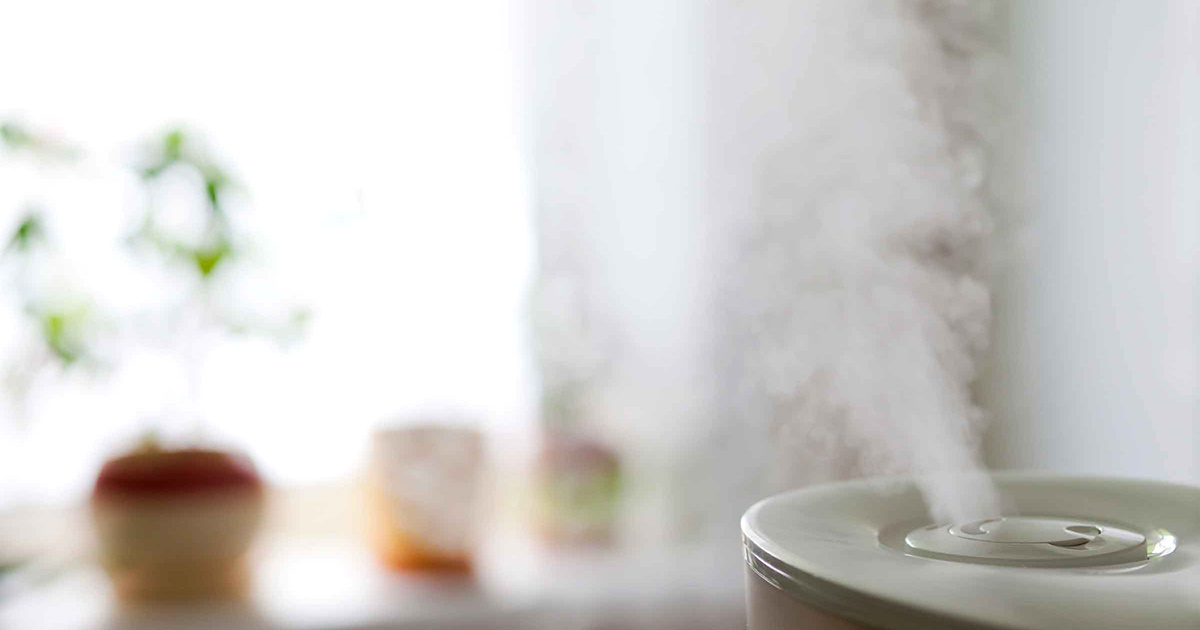 Breathe Safer Indoor Air With EWG’s New 'Healthy Living Home Guide