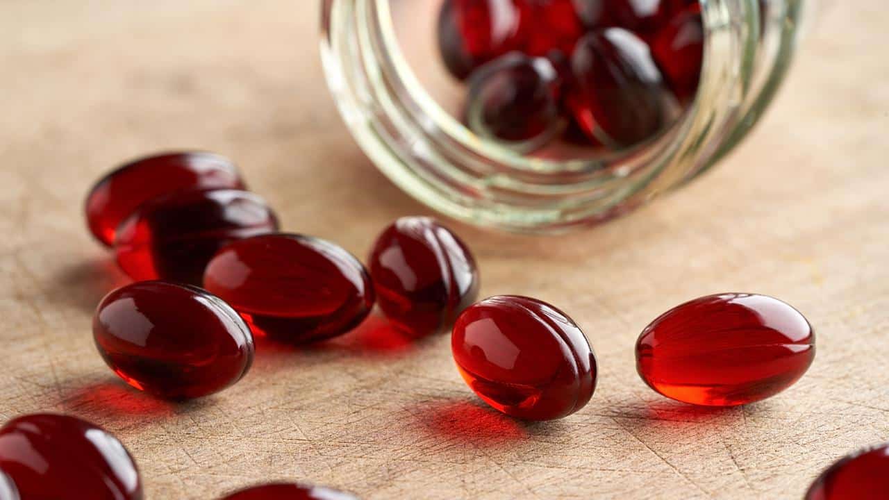The 6 Best Krill Oil Supplements of 2022 Reviewed EcoWatch