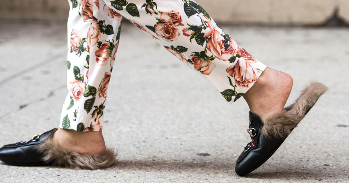 Gucci Pledges to Go FurFree EcoWatch