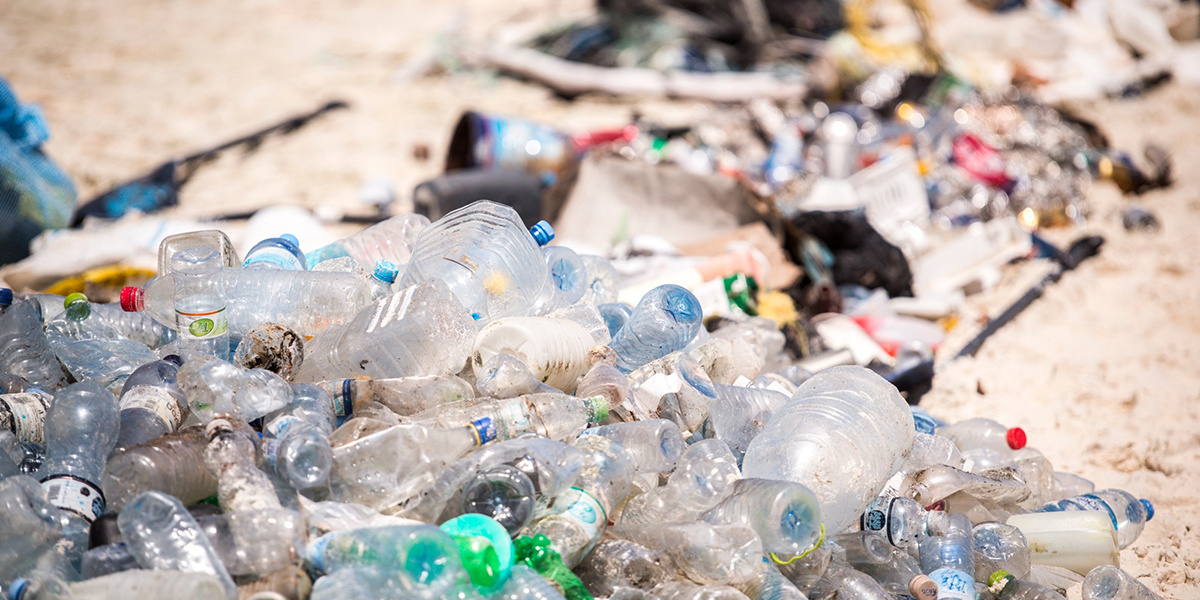 Plastics The History of an Ecological Crisis EcoWatch