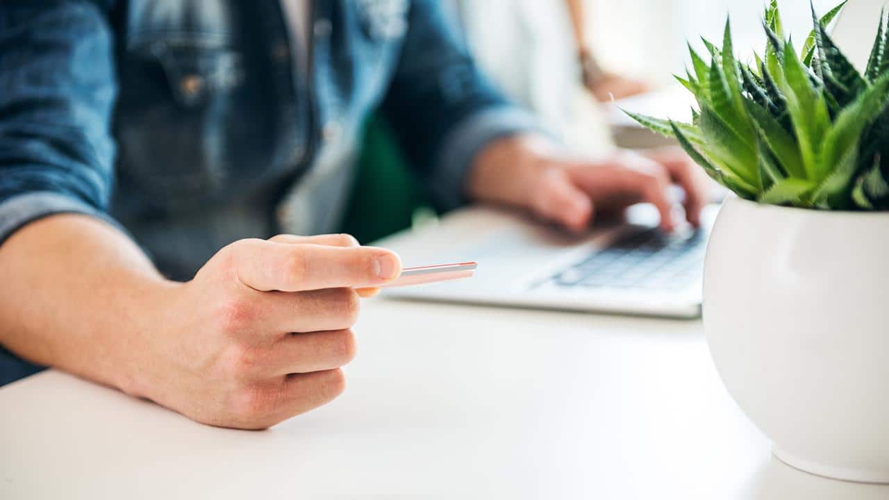 The Best Places to Buy Plants Online in 2022 EcoWatch