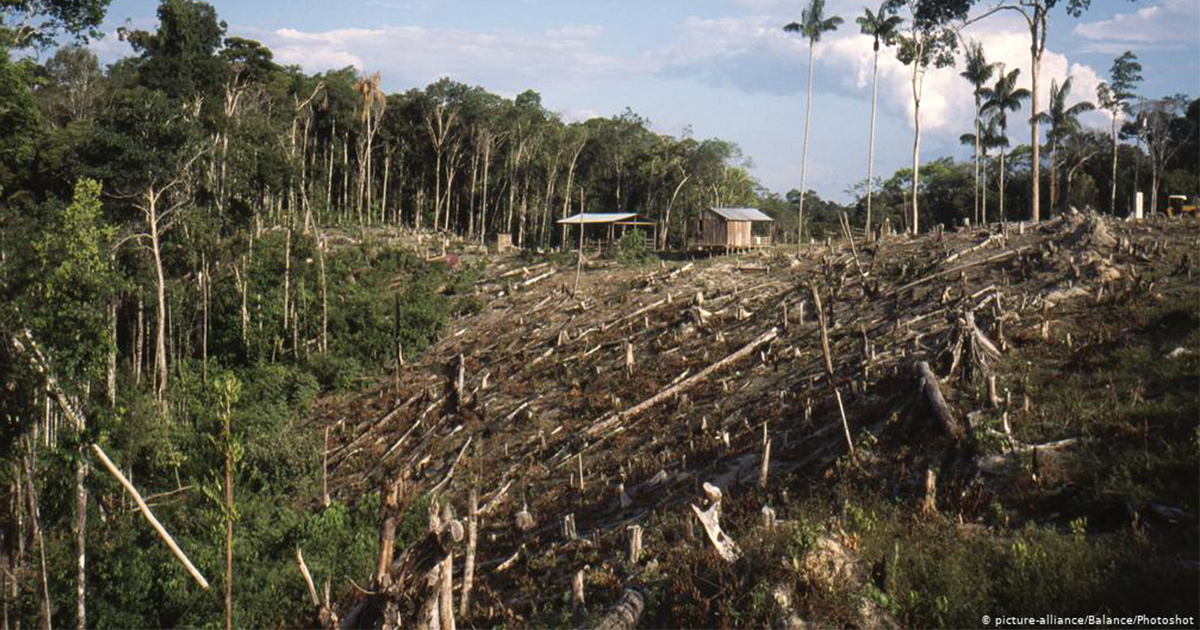 Why Biodiversity Loss Hurts Humans as Much as Climate Change Does