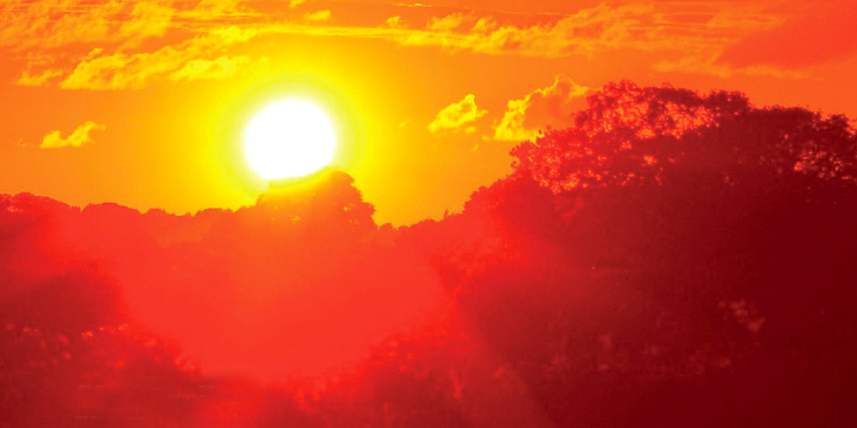 Brutal Heat Waves Crush Eastern Australia EcoWatch