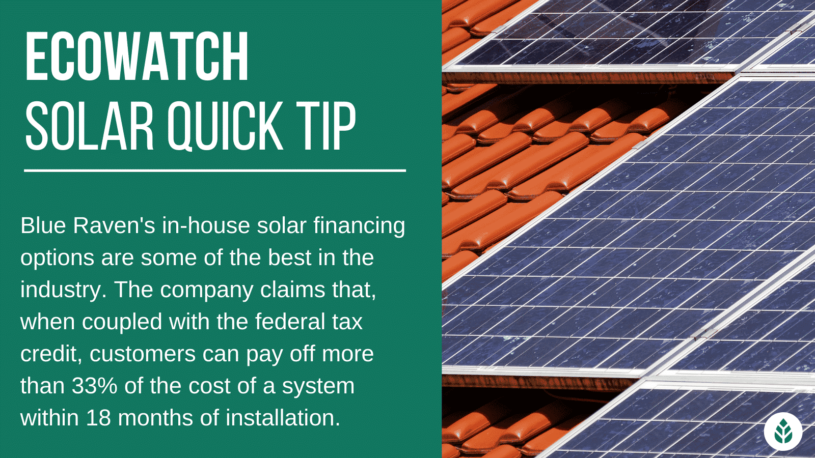 Blue Raven Solar Review (2024 Costs, Panels & More)