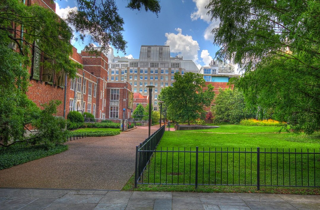 ‘Not Just a Science’ Vanderbilt University’s New Major Offers a New Way