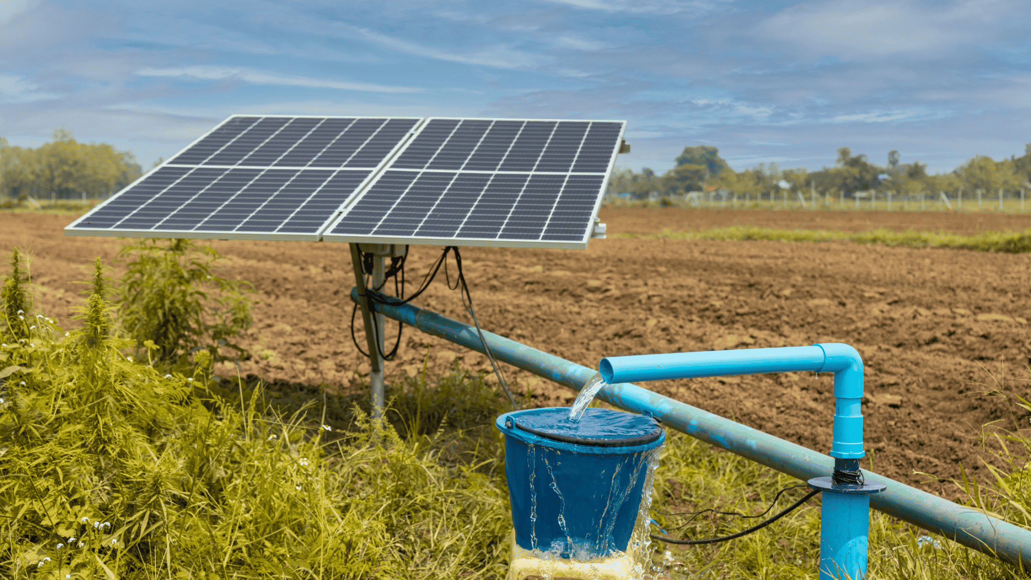 10 Best Solar Powered Water Pumps of 2024 (2024) EcoWatch
