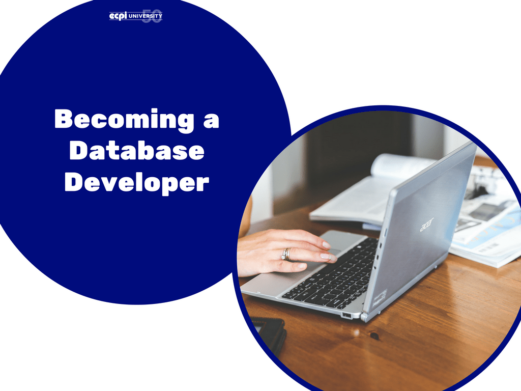 How do I a Database Developer?