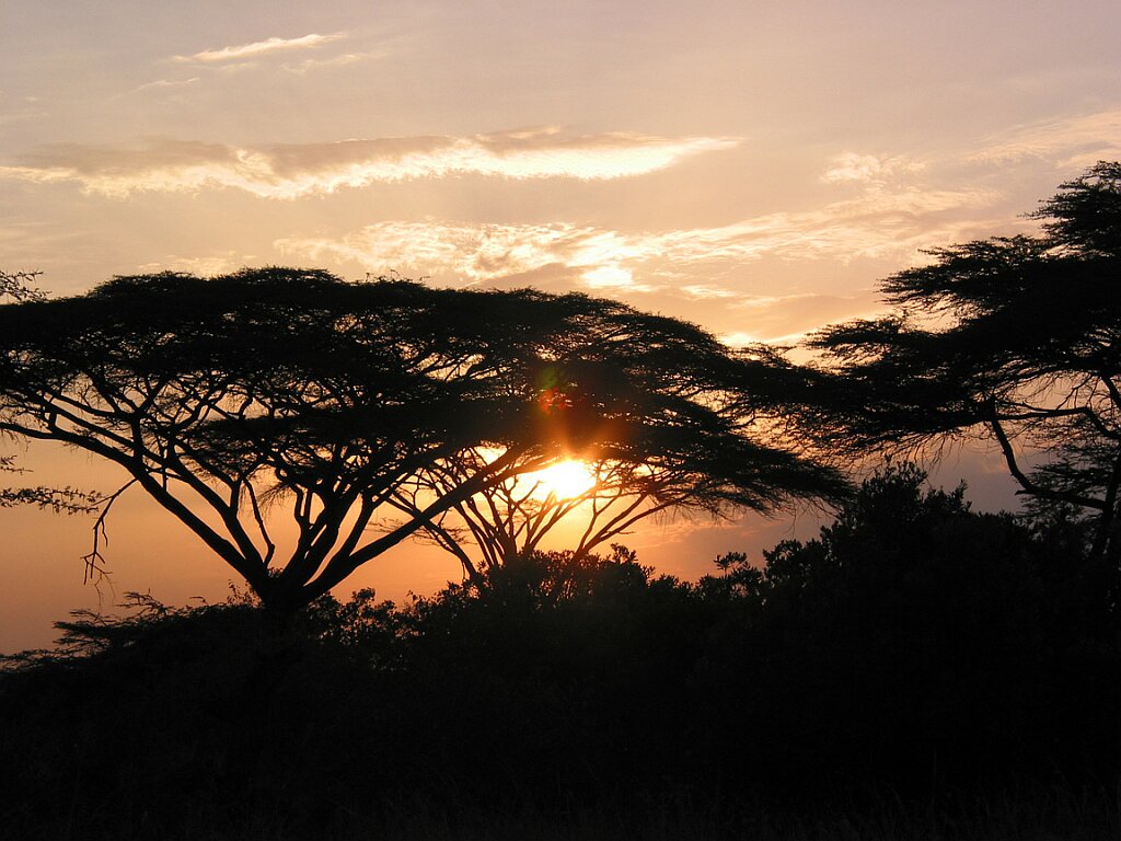 Ecran + Plus __ Coucher de soleil sur la savane Africaine