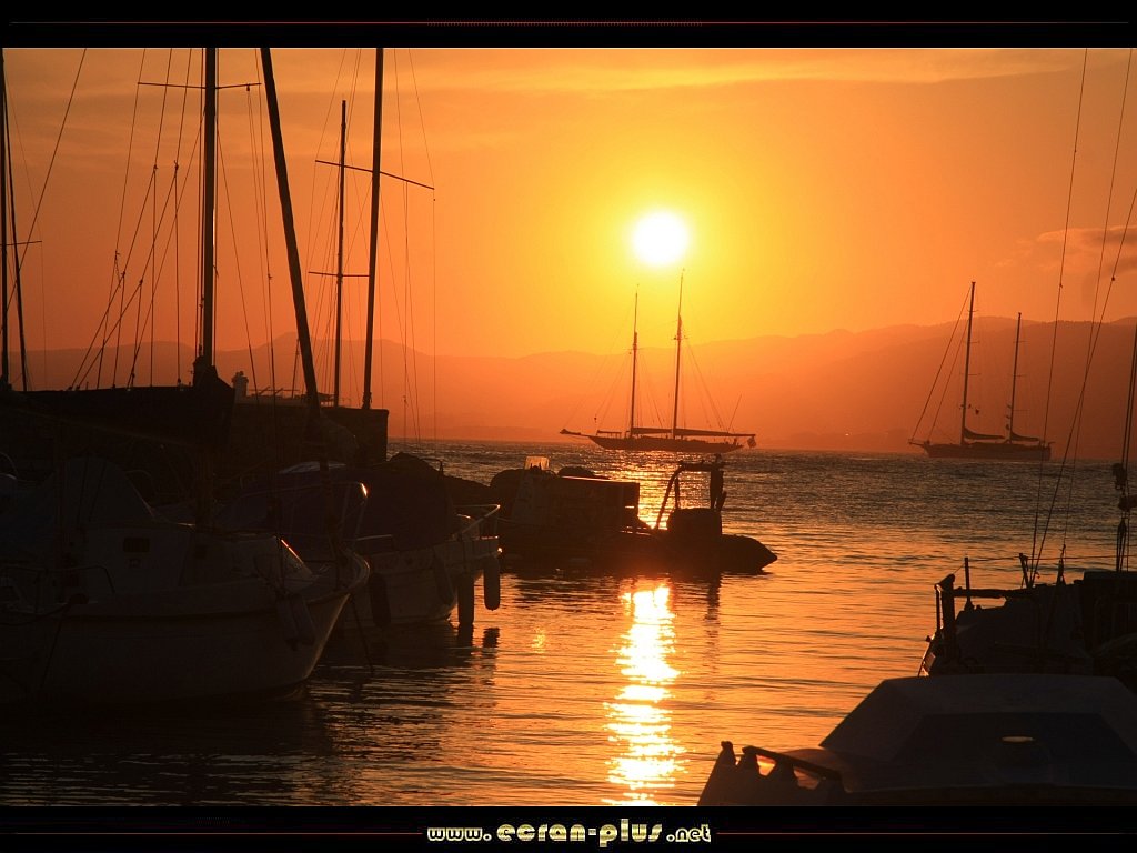 _ Ecran + Plus _ Coucher de soleil sur le port Palm