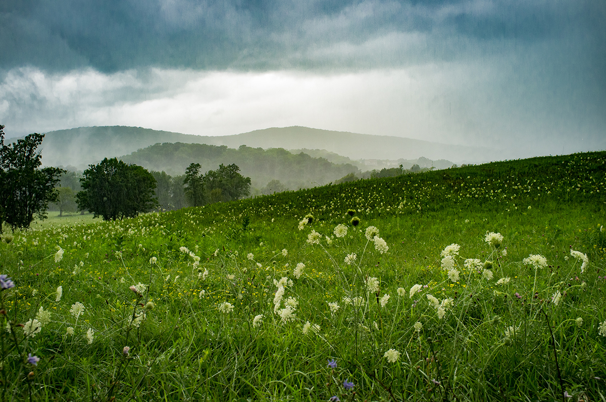 It’s Time for Spring Weather Energy Control Systems