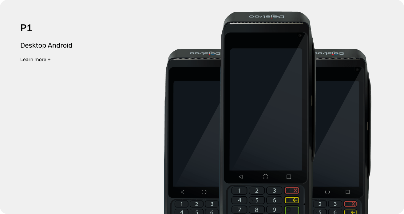 Dejavoo P5 ECS Payments