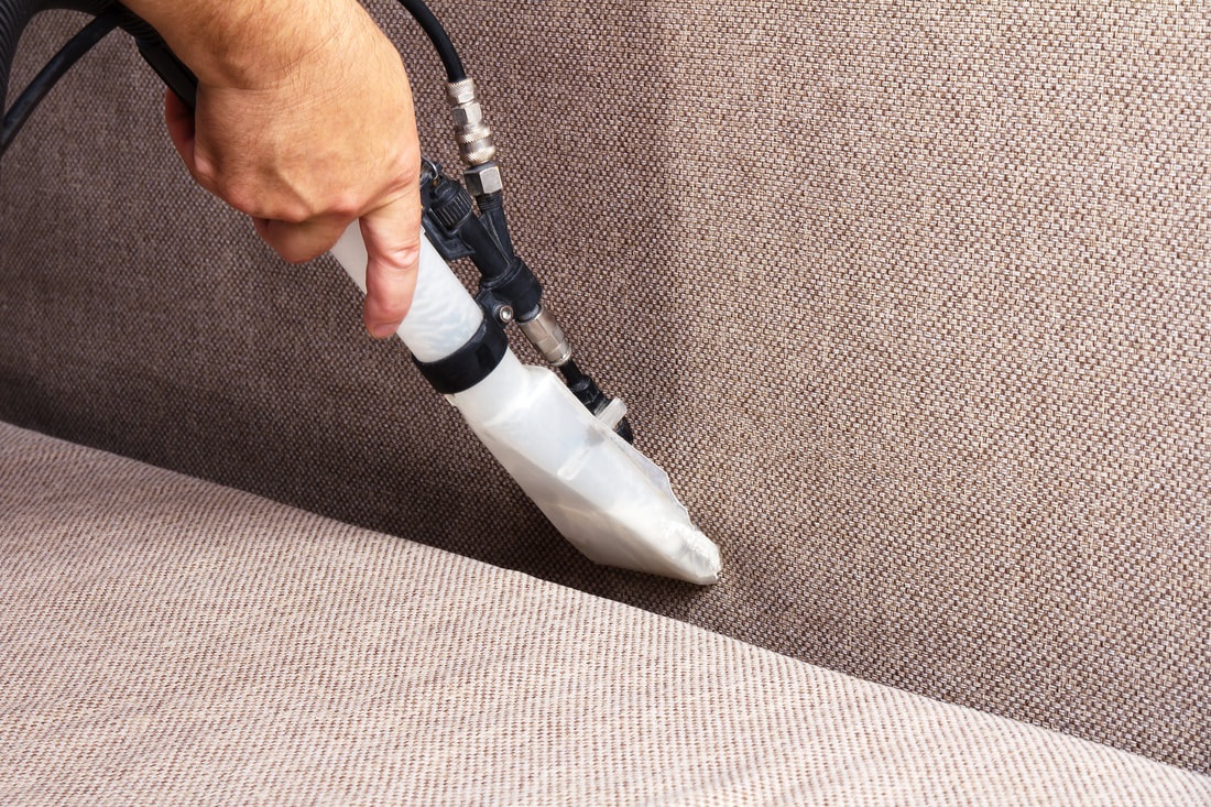 Where to look for sofa cleaning in Edmonton home