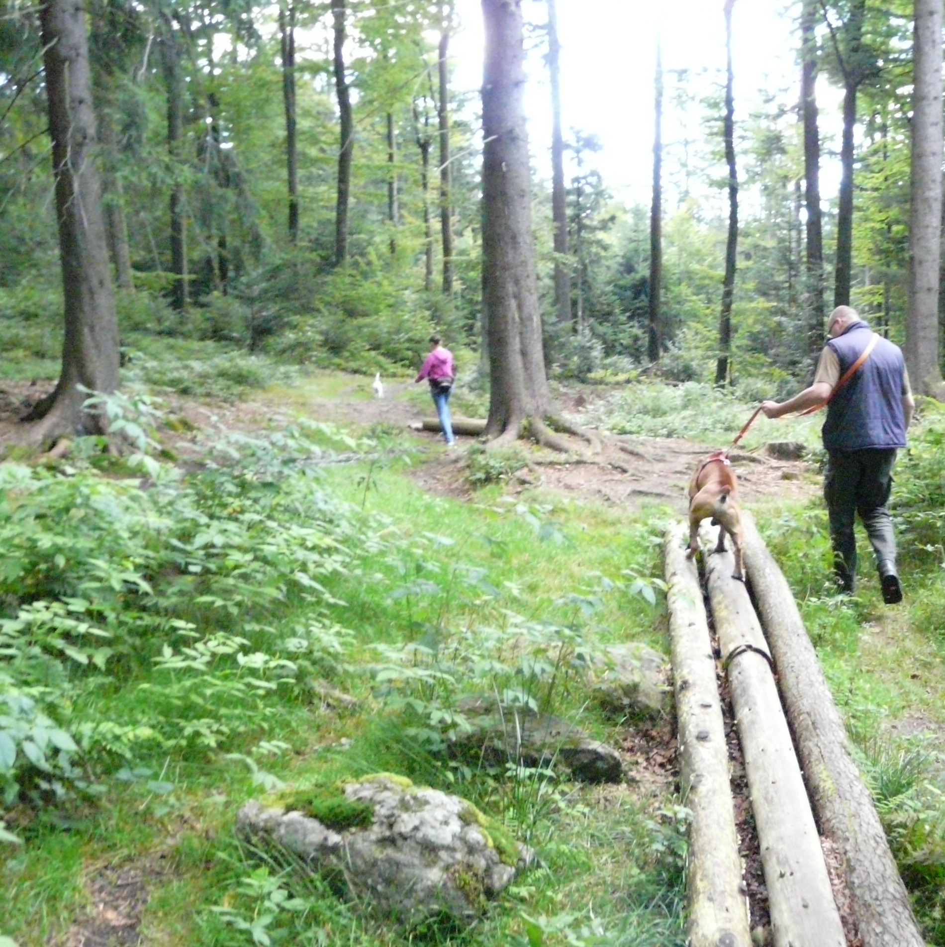 Urlaub mit Hund in Bayern, Bayerischer Wald EdbergHof