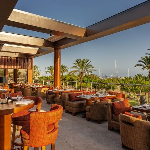 Zuma vuelve durante la temporada de verano de 2023