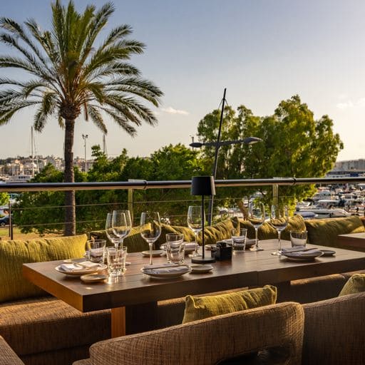 Zuma vuelve durante la temporada de verano de 2023