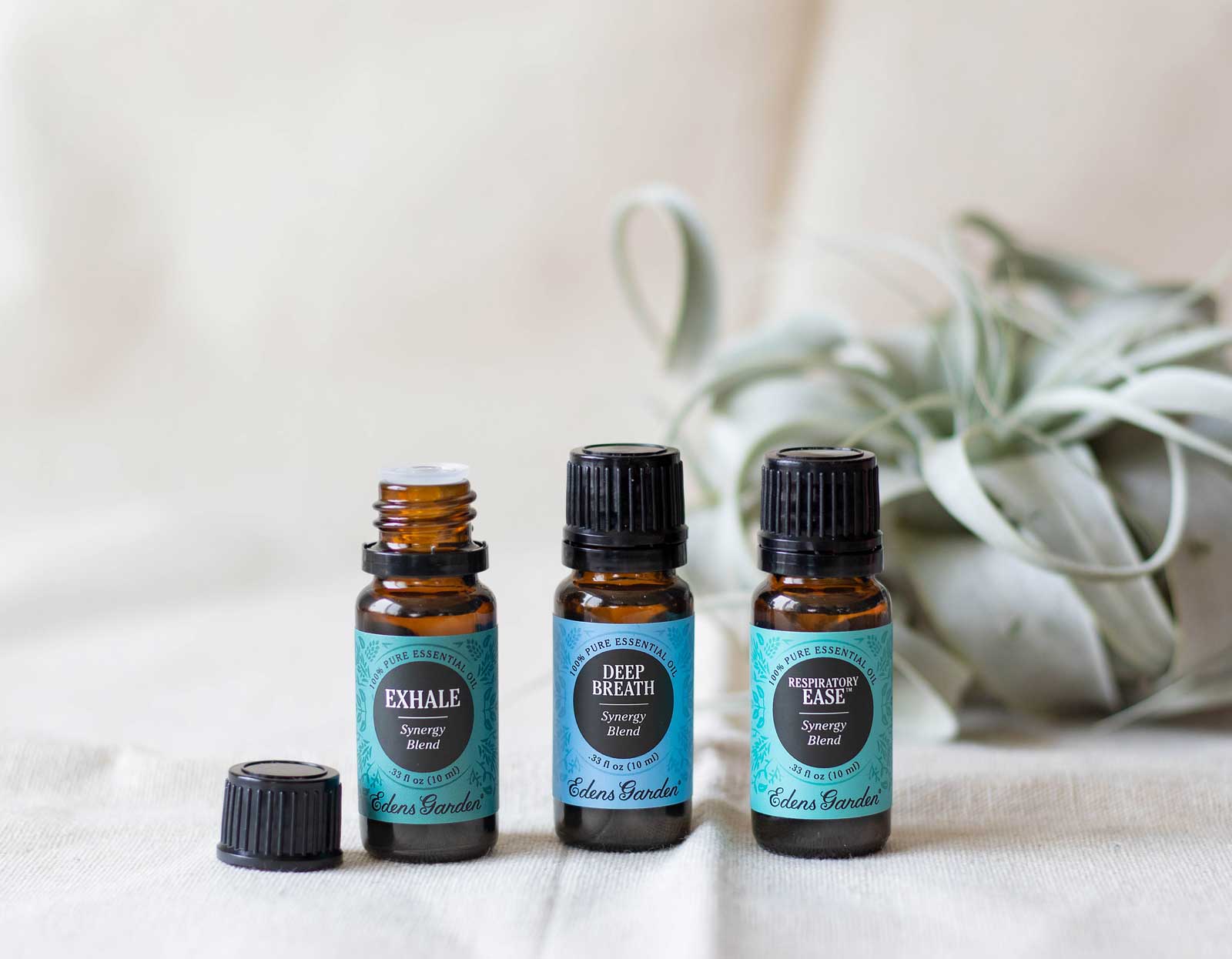 Best Essential Oils for Lungs & Respiratory Health Edens Garden