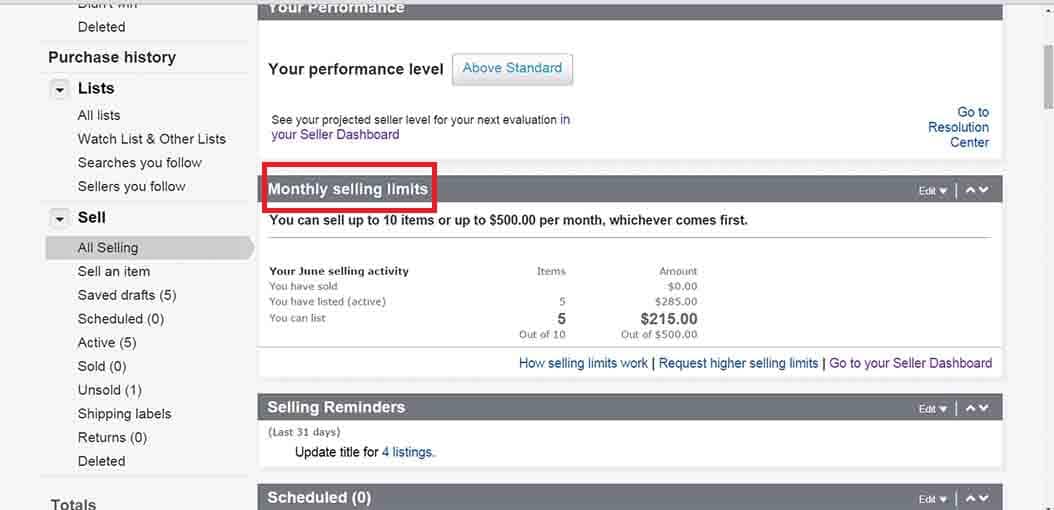 Basic Ebay Store Selling Limits at Carol Oneill blog