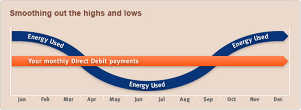 What is Budget Direct Debit? EDF