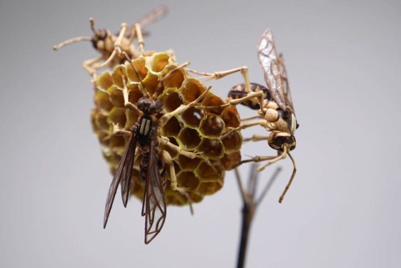 Bamboo Insects Artist creates incredibly lifelike insects out of bamboo