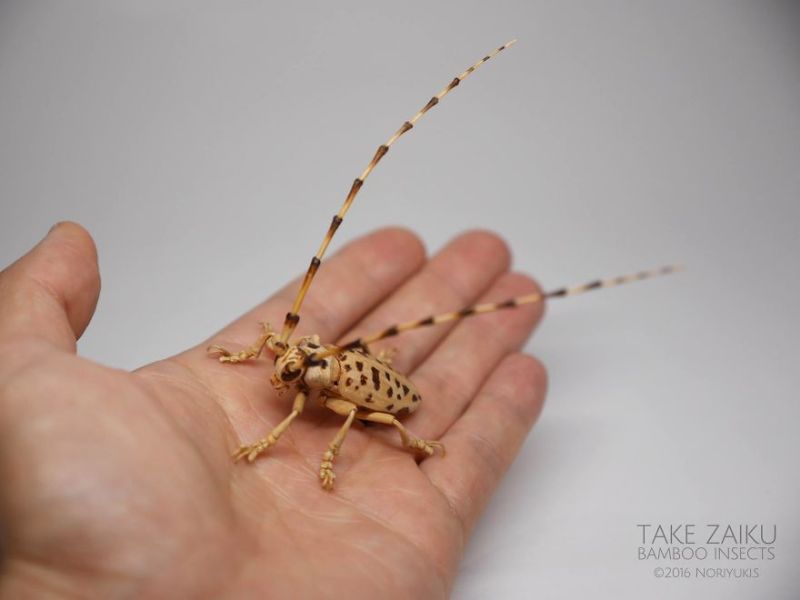 Bamboo Insects Artist creates incredibly lifelike insects out of bamboo