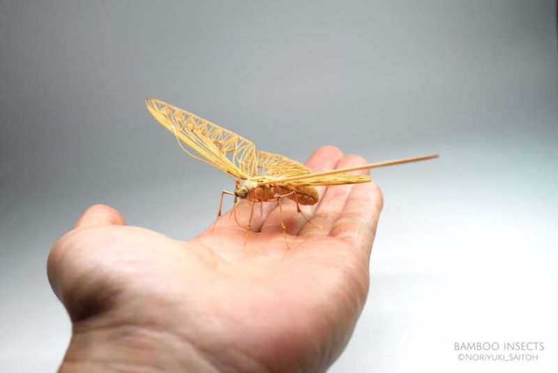 Bamboo Insects Artist creates incredibly lifelike insects out of bamboo