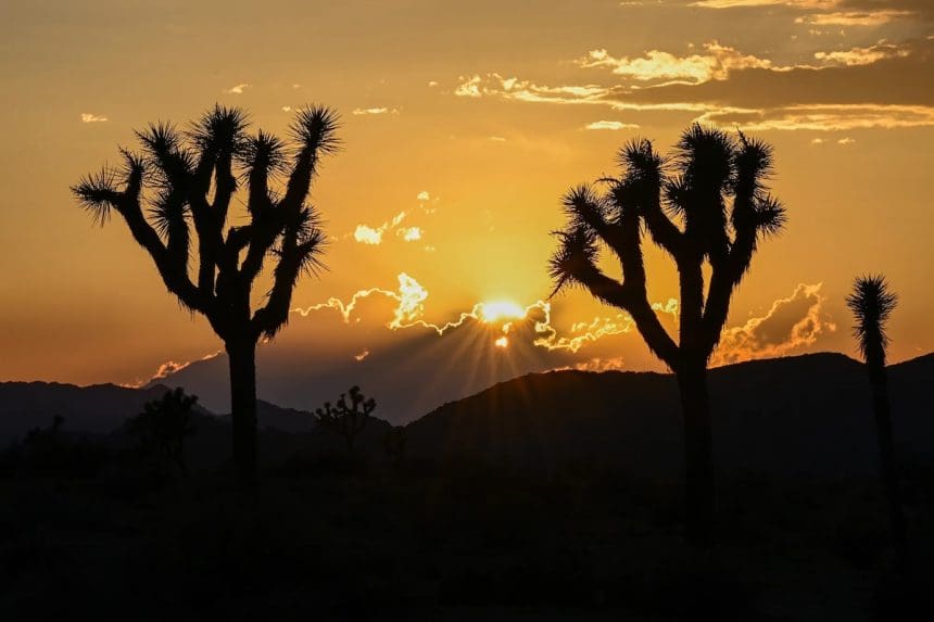 National Parks Shutdown 2025 News Report What a government shutdown will mean for Californians, from Social