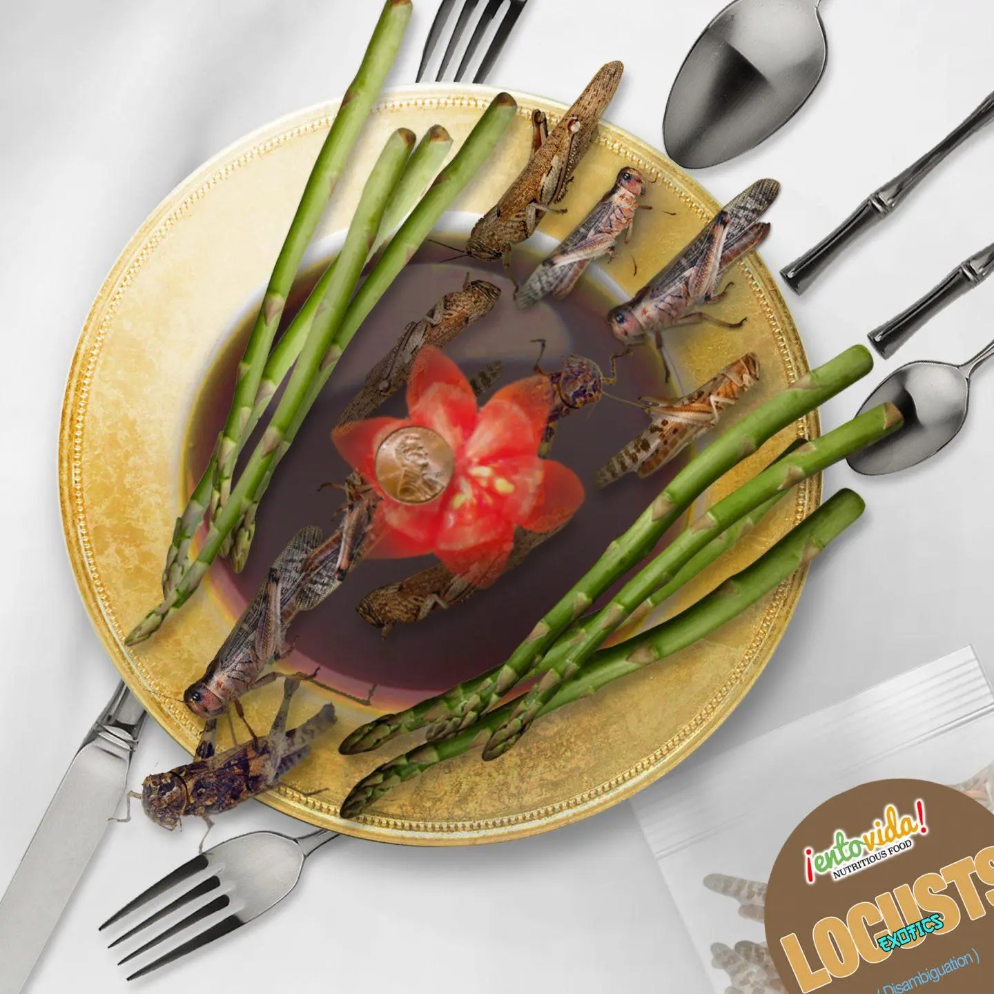 Edible Insects EntoMarket Bugs You Can Eat For Sale Online