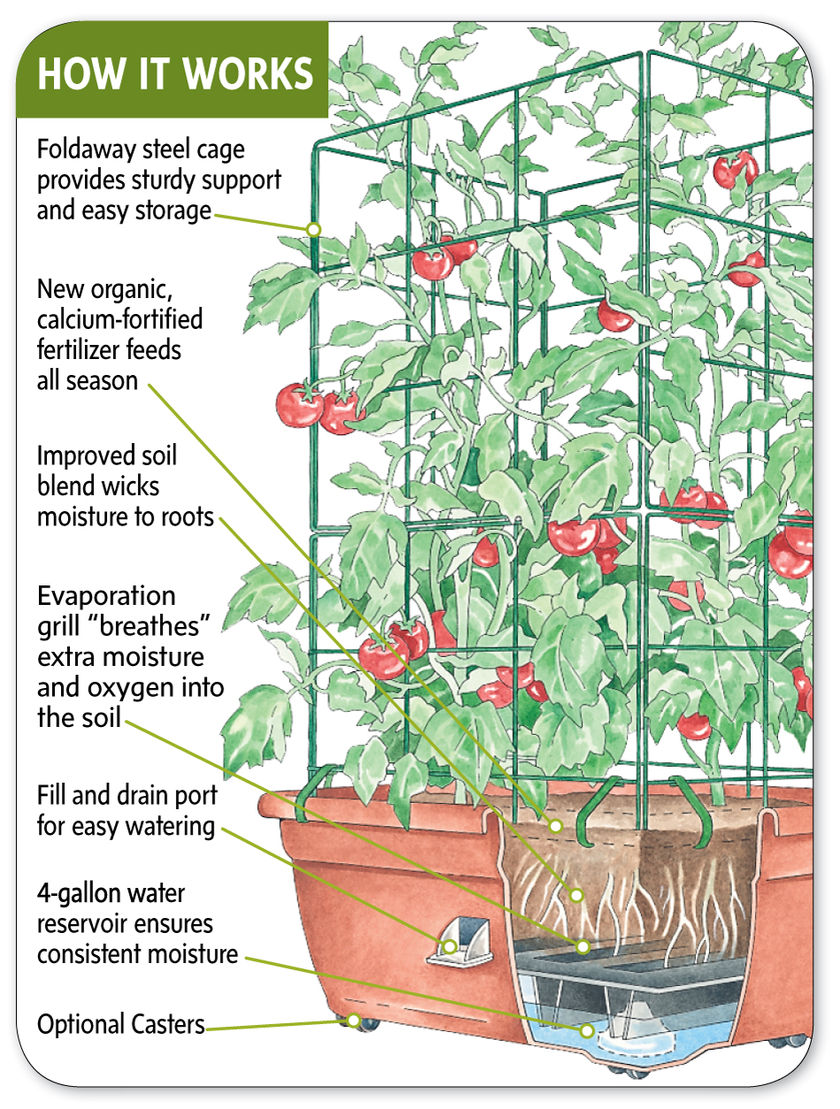 Self Watering Planters Great Plants and Peace of Mind Edible