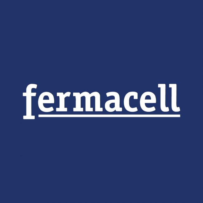 Fermacell Lastre Gessofibra Ediltech Brescia