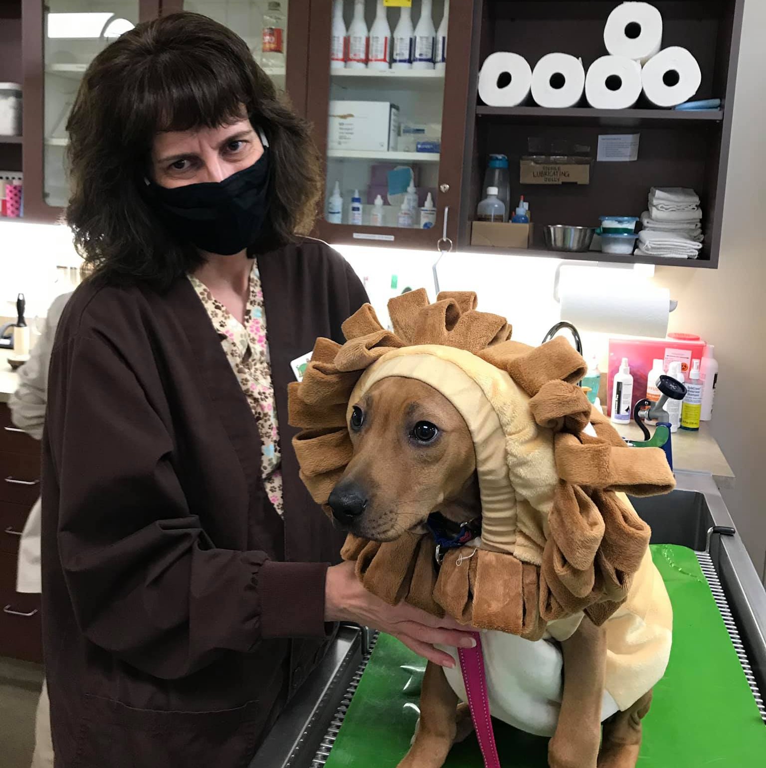 Home Edinburgh Pet Health Center