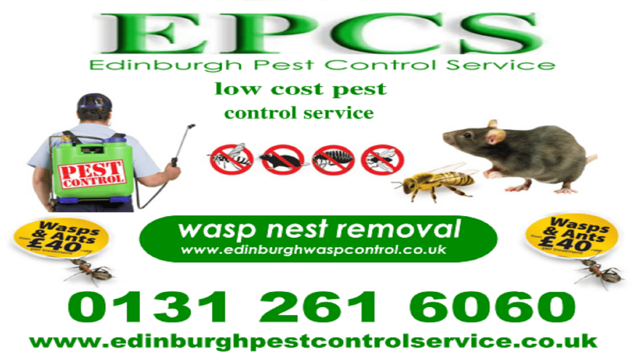 Pest Control Edinburgh Professional Pest Control Midlothian Pest
