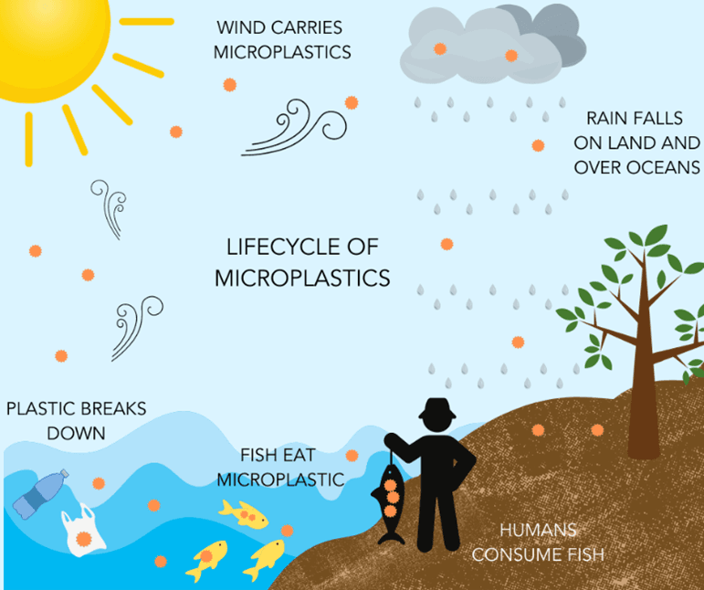 Using Raman Spectroscopy for Microplastic Analysis