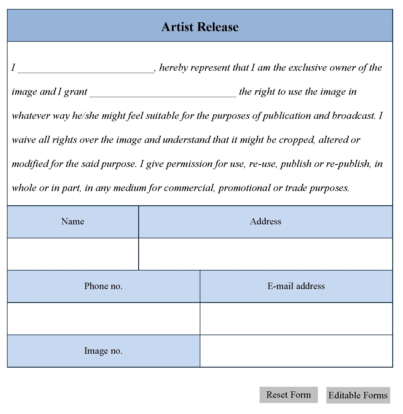 Artist Release Form Editable PDF Forms