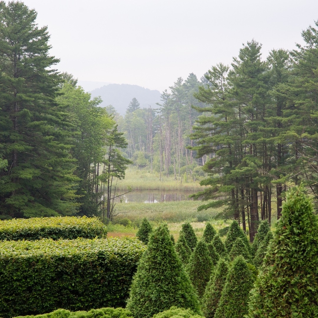 Walk Wharton’s Woods, Wetlands and Meadows The Mount Edith Wharton