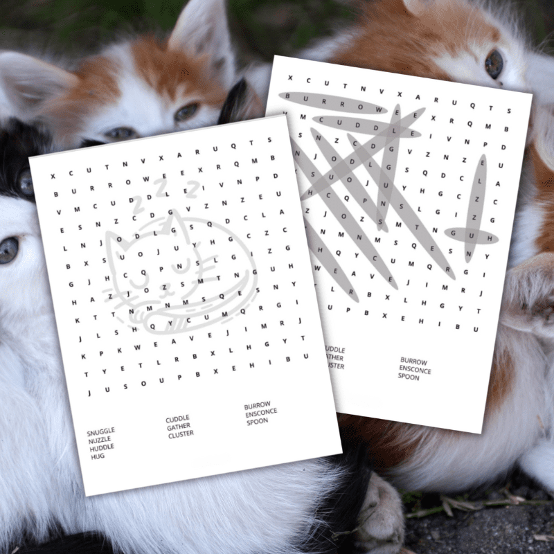 Cálida y acogedora sopa de letras en inglés. 56 Puzzles en letra grande