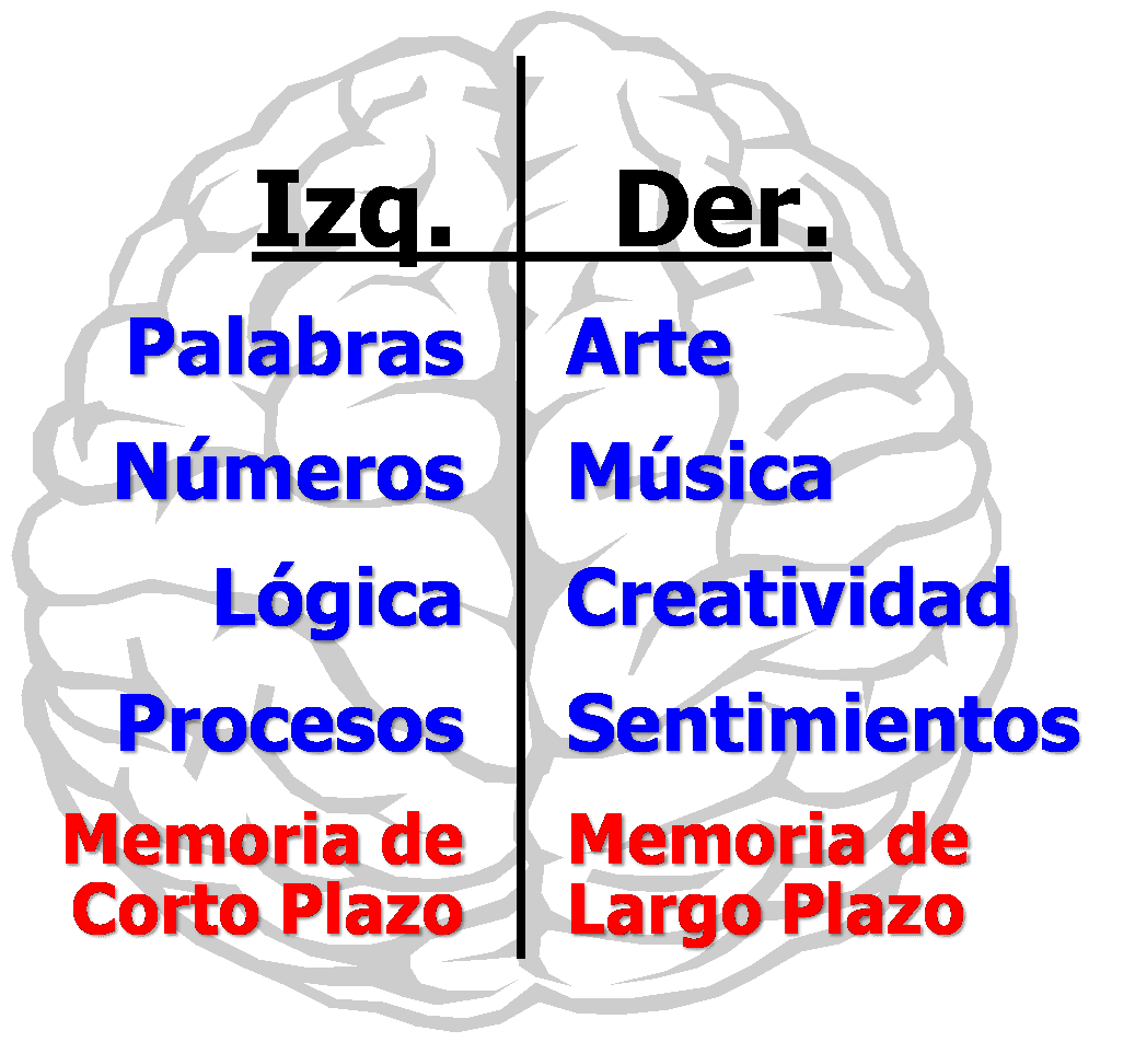 Funcionamiento De La Memoria