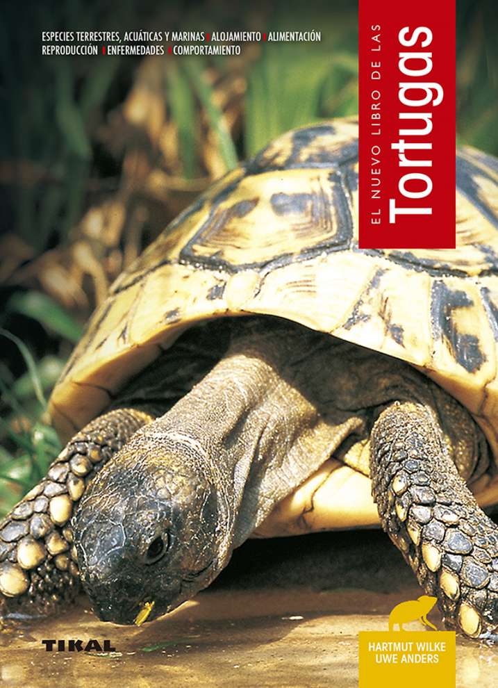 Tortugas Editorial Susaeta Venta de libros infantiles, venta de