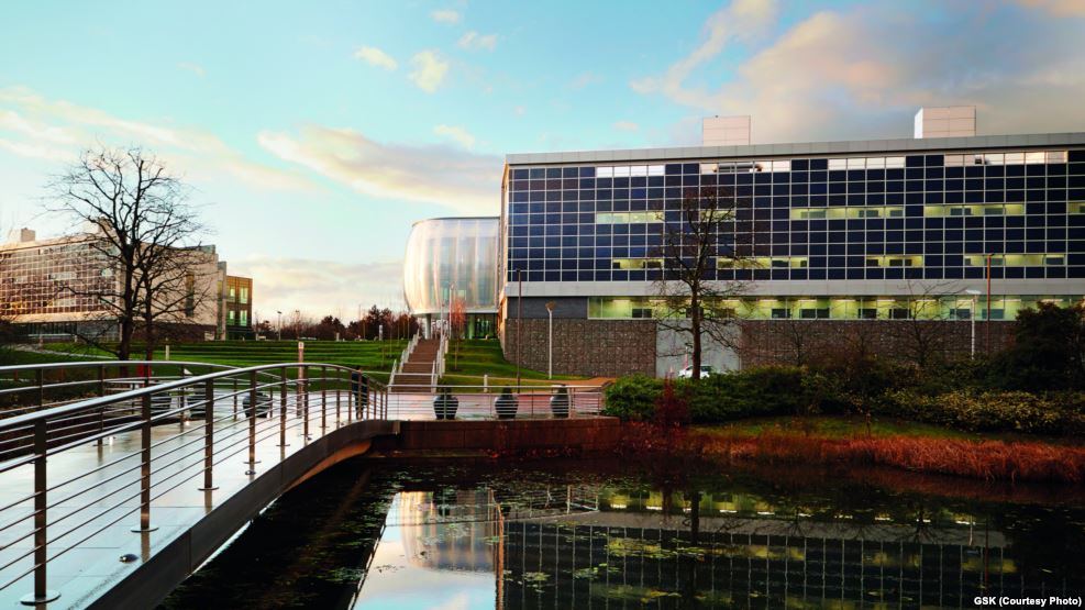 New Company Plans Very Small Electronic Medical Treatments VOA