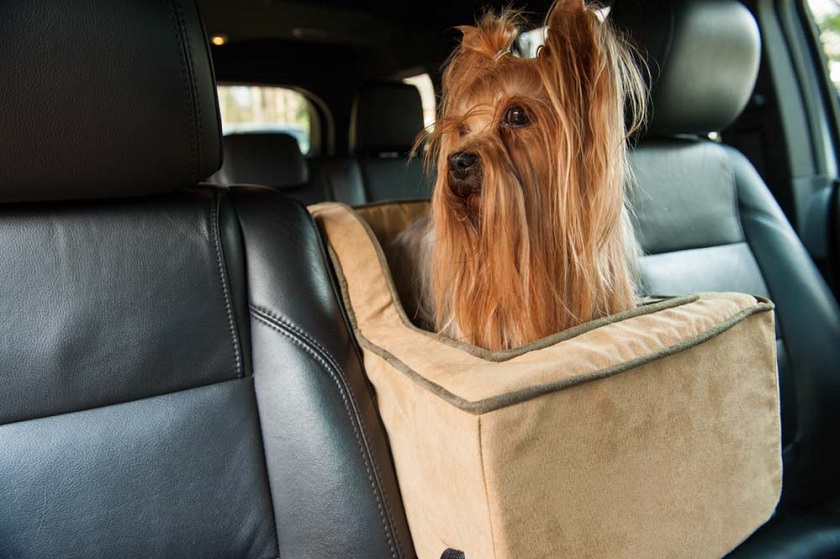 Booster Car Seats for Dogs Keep Your Pooch Safe and Comfortable