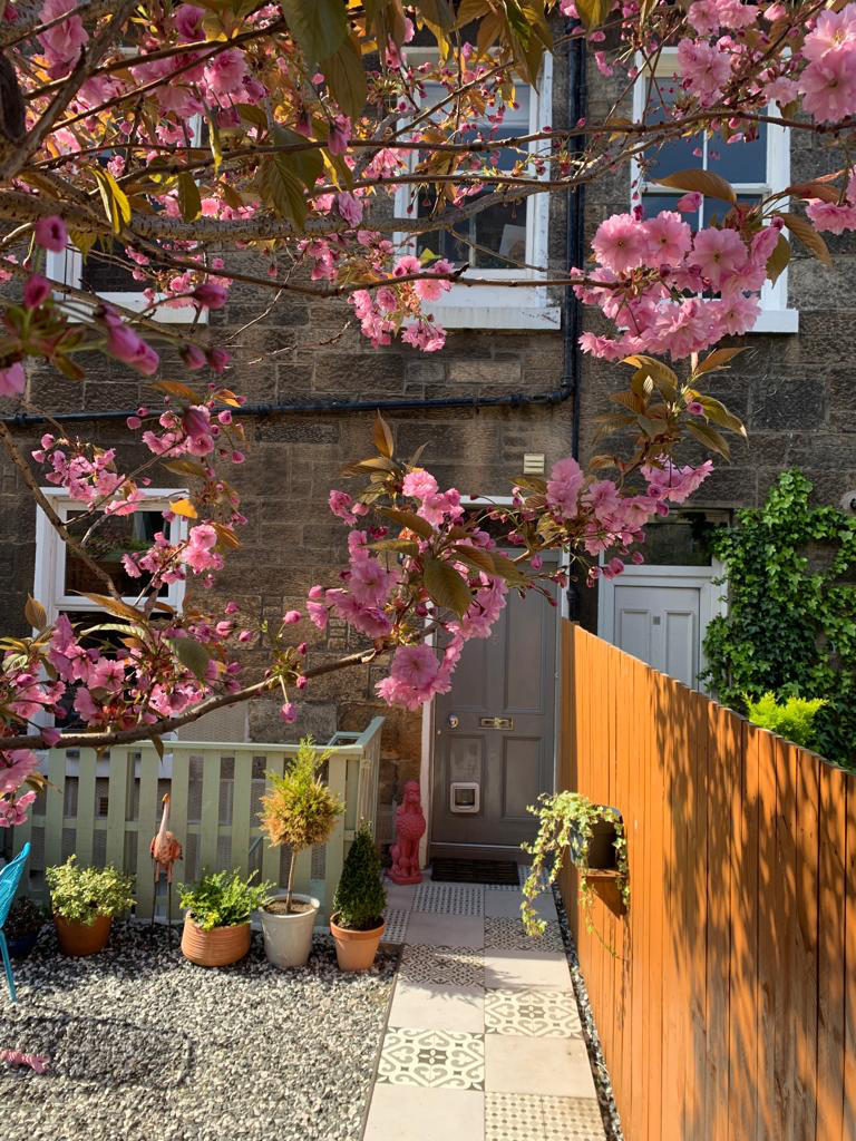 Edinburgh Apartments Unique Colony In Central Edinburgh, Abbeyhill