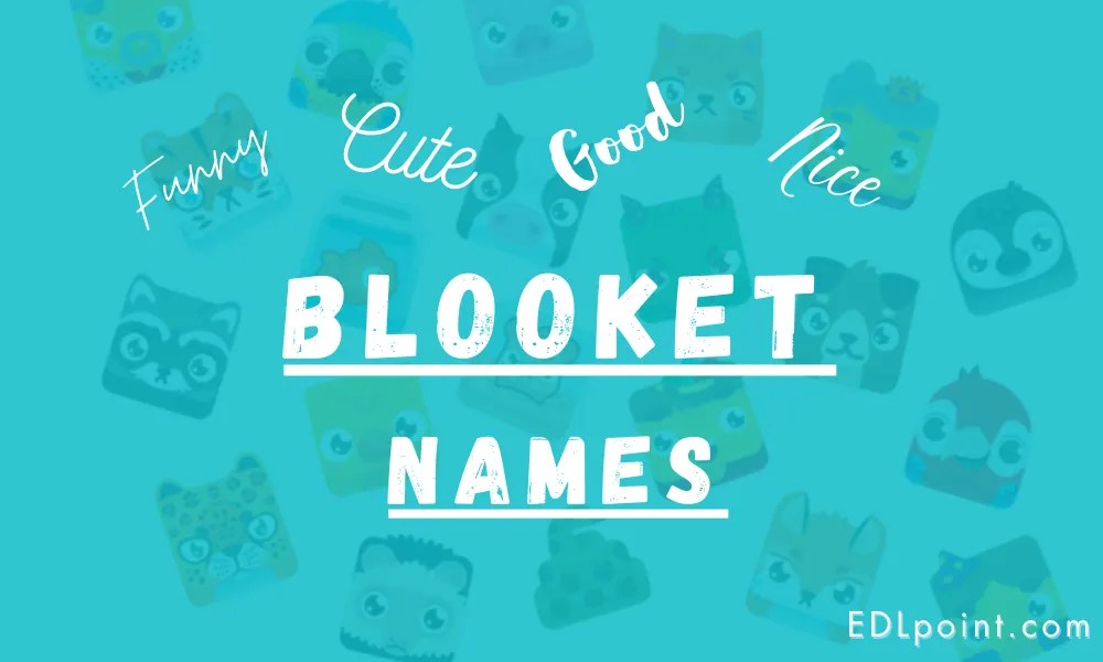 +91 Cool, Funny, Cute, and Good Blooket Names ( Updated List