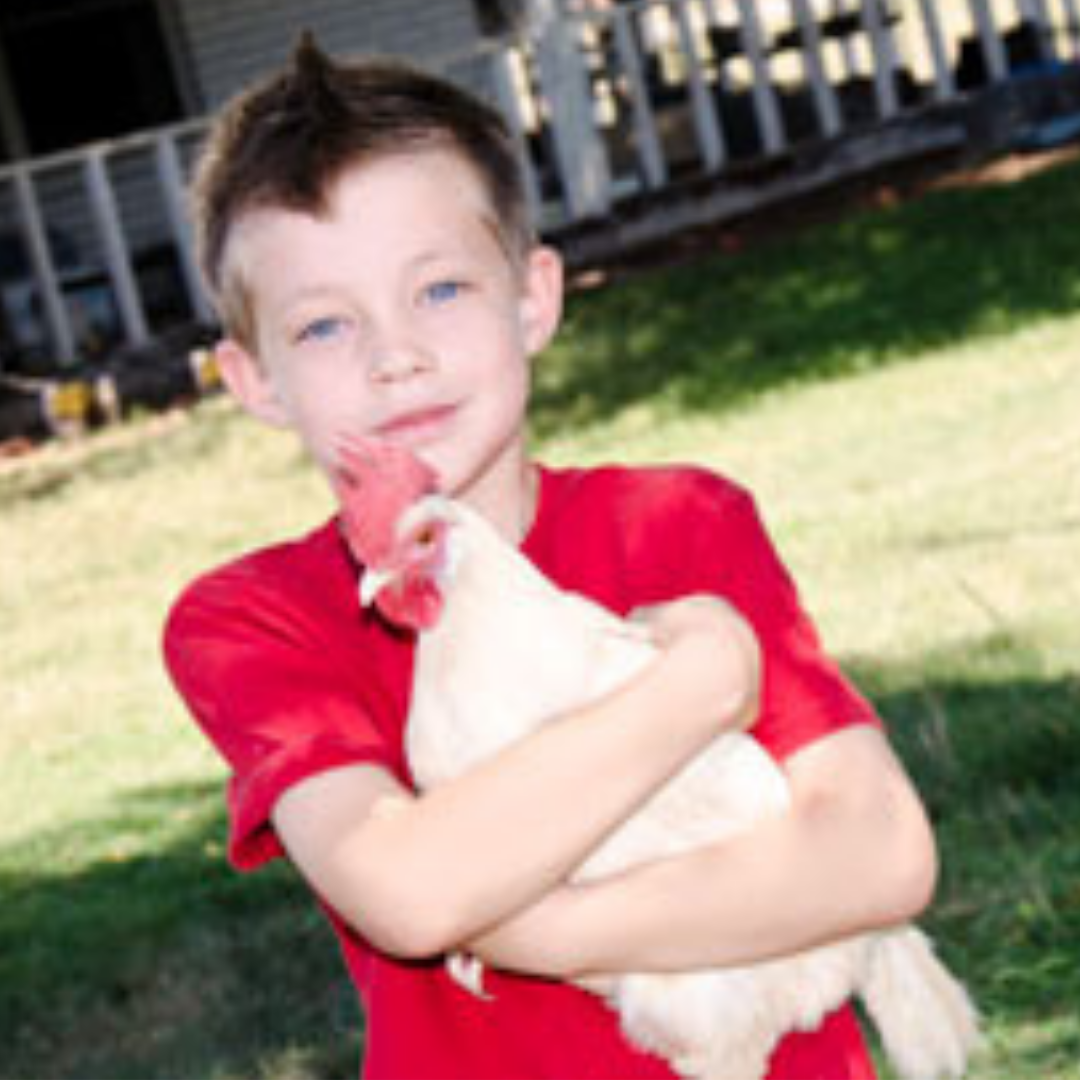 Down on the Farm Edmond Outlook