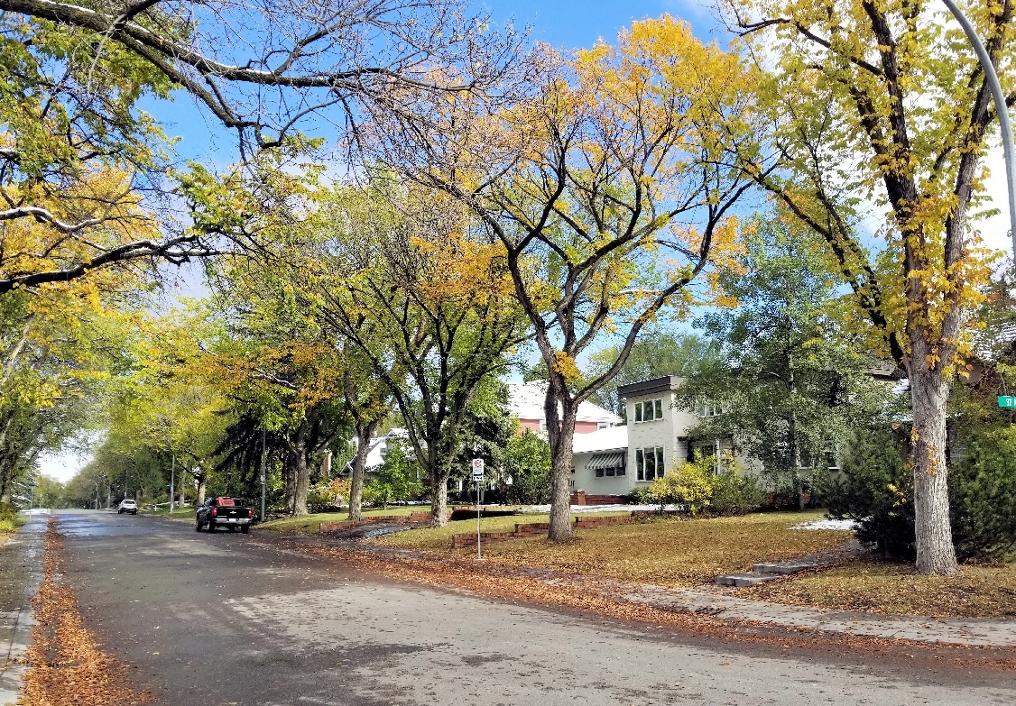 Windsor Park Edmonton Homes For Sale, Windsor Park Real Estate