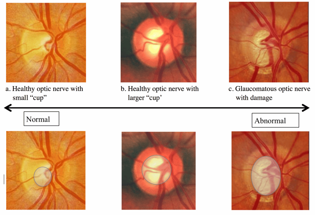 Washington DC Maryland North Virginia