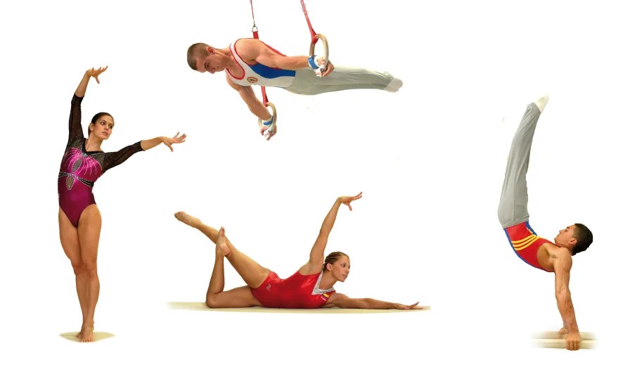 Ginástica artística história, origem, competição, arbitragem e pontuação