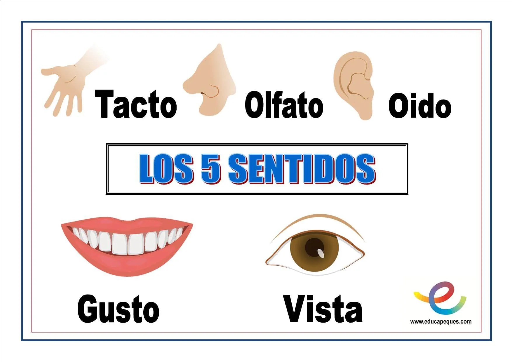 Fichas de infantil Los 5 sentidos