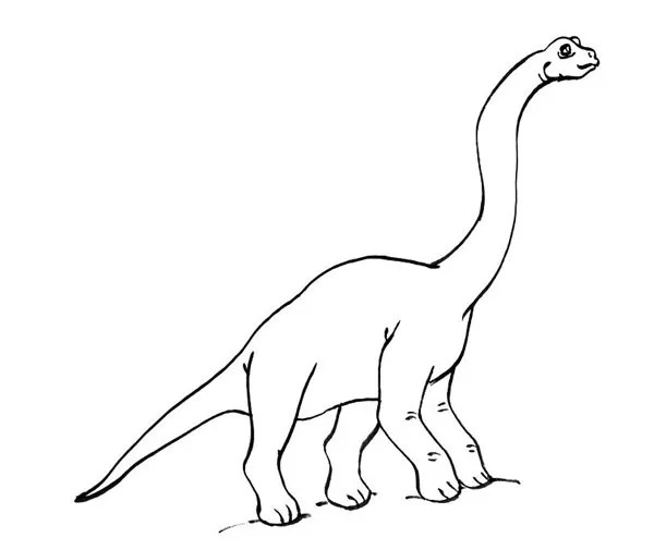 Diplodocus ¿Sabes cuánto mide un cuello largo? Educapeques